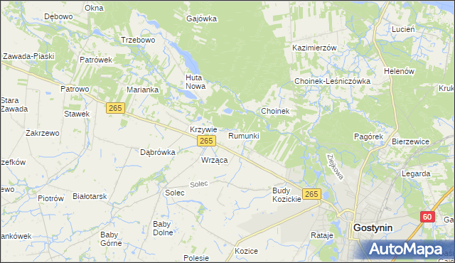 mapa Rumunki gmina Gostynin, Rumunki gmina Gostynin na mapie Targeo