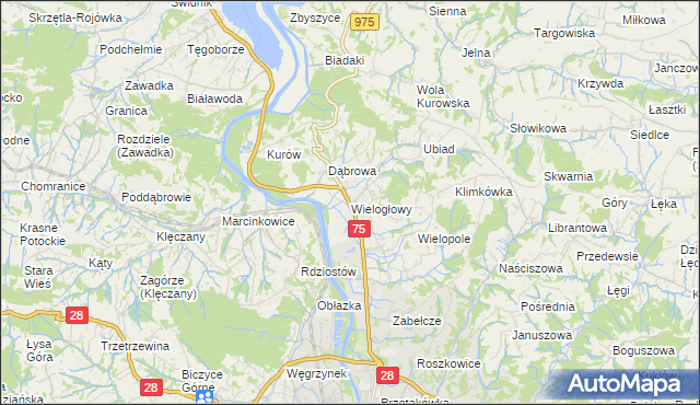 mapa Wielogłowy gmina Chełmiec, Wielogłowy gmina Chełmiec na mapie Targeo