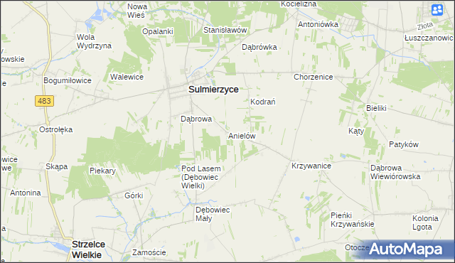 mapa Anielów gmina Sulmierzyce, Anielów gmina Sulmierzyce na mapie Targeo