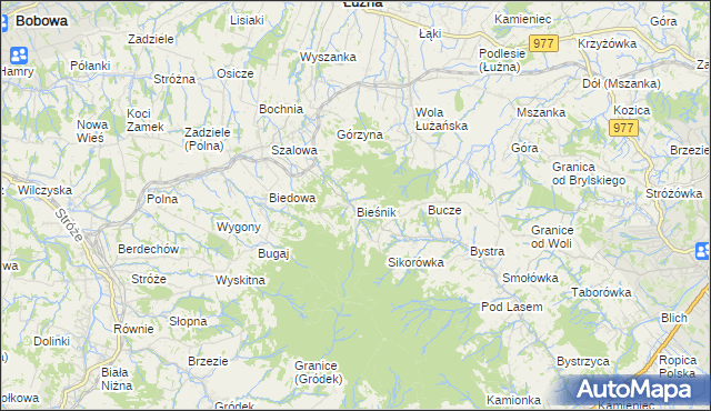 mapa Bieśnik gmina Łużna, Bieśnik gmina Łużna na mapie Targeo