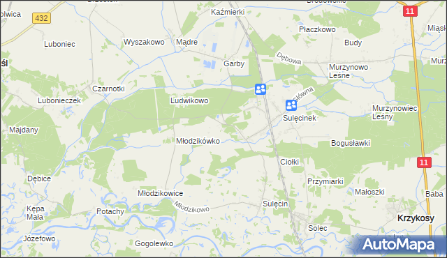 mapa Borowo gmina Krzykosy, Borowo gmina Krzykosy na mapie Targeo