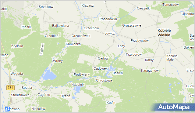 mapa Cadów, Cadów na mapie Targeo