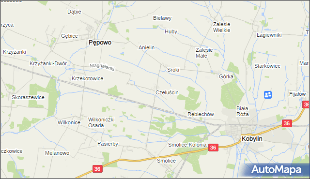 mapa Czeluścin gmina Pępowo, Czeluścin gmina Pępowo na mapie Targeo