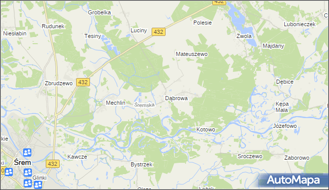 mapa Dąbrowa gmina Śrem, Dąbrowa gmina Śrem na mapie Targeo