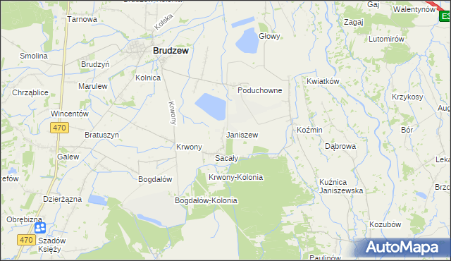 mapa Janiszew gmina Brudzew, Janiszew gmina Brudzew na mapie Targeo