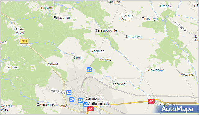 mapa Kurowo gmina Grodzisk Wielkopolski, Kurowo gmina Grodzisk Wielkopolski na mapie Targeo