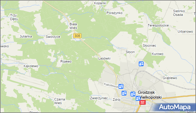 mapa Lasówki gmina Grodzisk Wielkopolski, Lasówki gmina Grodzisk Wielkopolski na mapie Targeo