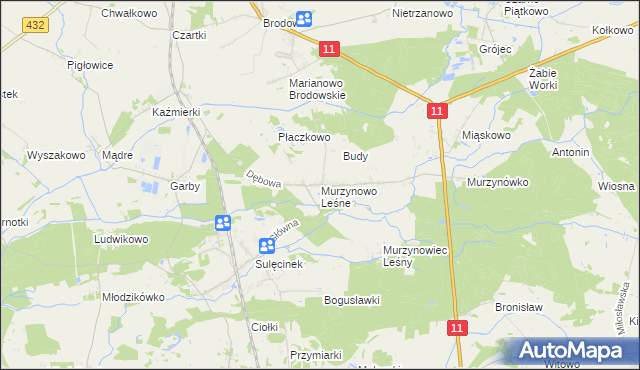 mapa Murzynowo Leśne, Murzynowo Leśne na mapie Targeo