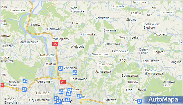 mapa Naściszowa, Naściszowa na mapie Targeo