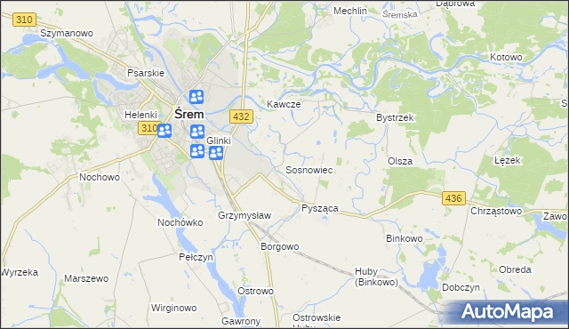 mapa Sosnowiec gmina Śrem, Sosnowiec gmina Śrem na mapie Targeo