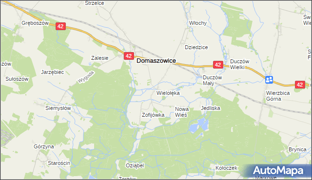 mapa Wielołęka gmina Domaszowice, Wielołęka gmina Domaszowice na mapie Targeo