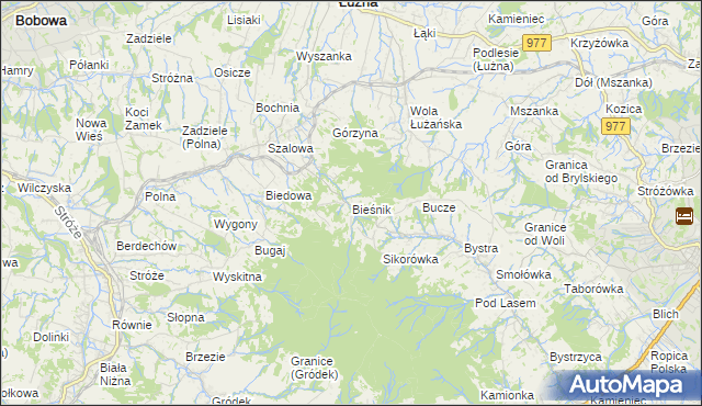 mapa Bieśnik gmina Łużna, Bieśnik gmina Łużna na mapie Targeo