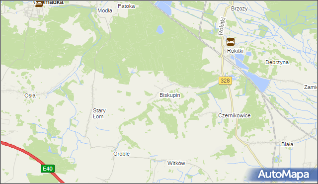 mapa Biskupin gmina Chojnów, Biskupin gmina Chojnów na mapie Targeo