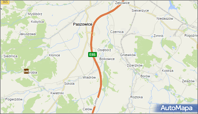 mapa Bolkowice gmina Paszowice, Bolkowice gmina Paszowice na mapie Targeo