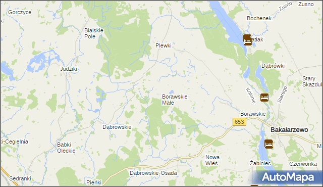 mapa Borawskie Małe, Borawskie Małe na mapie Targeo