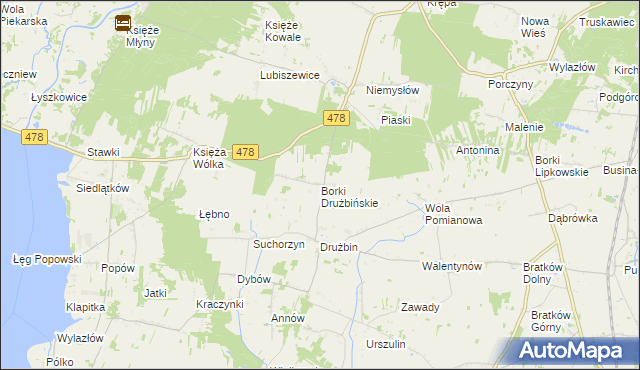 mapa Borki Drużbińskie, Borki Drużbińskie na mapie Targeo