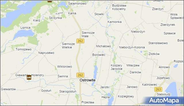 mapa Borówiec gmina Ostrowite, Borówiec gmina Ostrowite na mapie Targeo