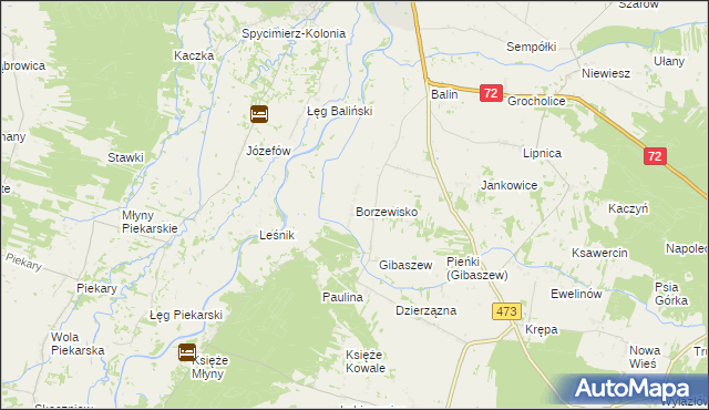 mapa Borzewisko gmina Poddębice, Borzewisko gmina Poddębice na mapie Targeo