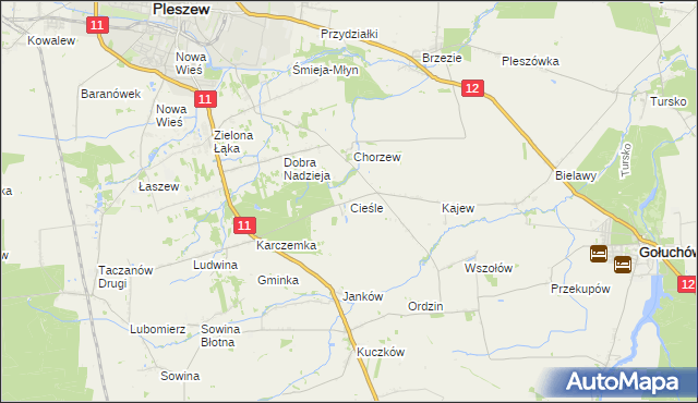 mapa Cieśle gmina Gołuchów, Cieśle gmina Gołuchów na mapie Targeo