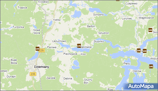 mapa Dąbrówka gmina Dziemiany, Dąbrówka gmina Dziemiany na mapie Targeo