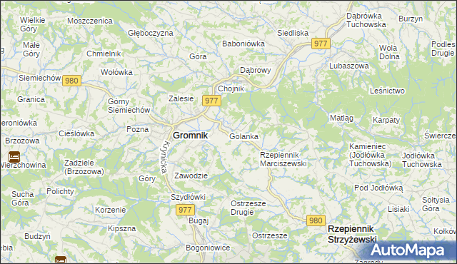 mapa Golanka gmina Gromnik, Golanka gmina Gromnik na mapie Targeo