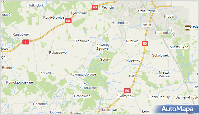 mapa Gołoty gmina Ciechanów, Gołoty gmina Ciechanów na mapie Targeo