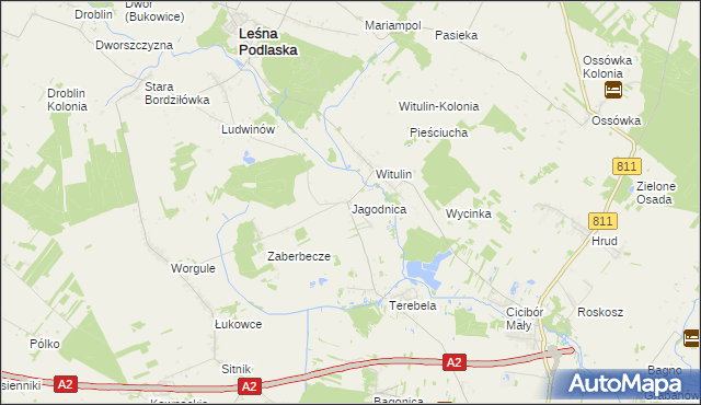 mapa Jagodnica gmina Leśna Podlaska, Jagodnica gmina Leśna Podlaska na mapie Targeo