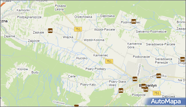 mapa Kamieniec gmina Bodzentyn, Kamieniec gmina Bodzentyn na mapie Targeo