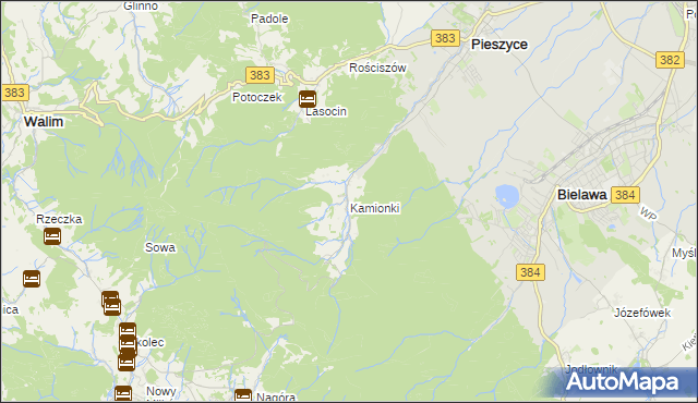 mapa Kamionki gmina Pieszyce, Kamionki gmina Pieszyce na mapie Targeo
