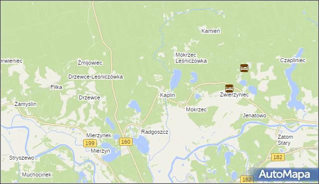 mapa Kaplin gmina Międzychód, Kaplin gmina Międzychód na mapie Targeo