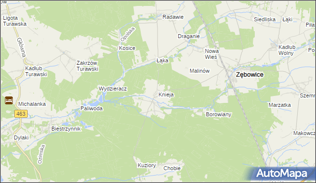mapa Knieja gmina Zębowice, Knieja gmina Zębowice na mapie Targeo