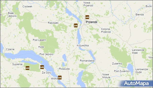 mapa Krzywólka gmina Przerośl, Krzywólka gmina Przerośl na mapie Targeo