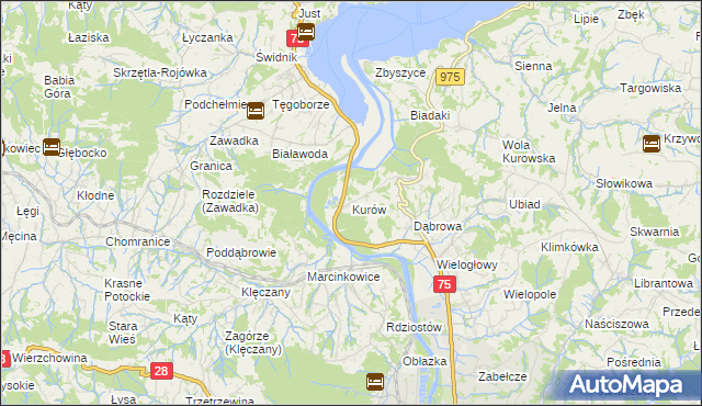 mapa Kurów gmina Chełmiec, Kurów gmina Chełmiec na mapie Targeo