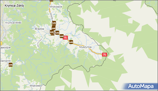 mapa Muszynka, Muszynka na mapie Targeo