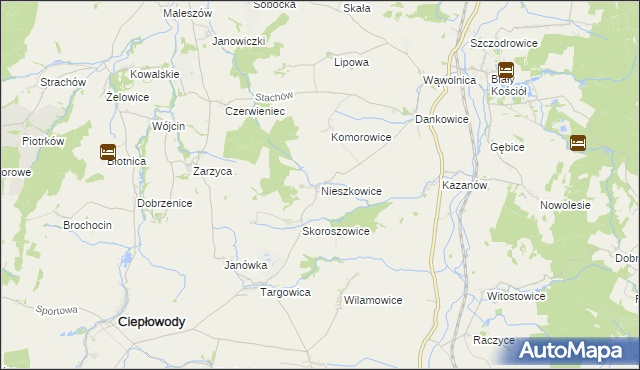 mapa Nieszkowice gmina Strzelin, Nieszkowice gmina Strzelin na mapie Targeo