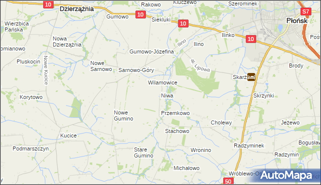 mapa Niwa gmina Dzierzążnia, Niwa gmina Dzierzążnia na mapie Targeo