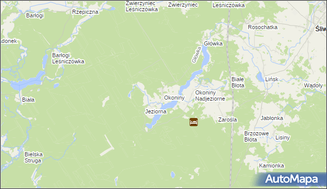 mapa Okoniny gmina Śliwice, Okoniny gmina Śliwice na mapie Targeo