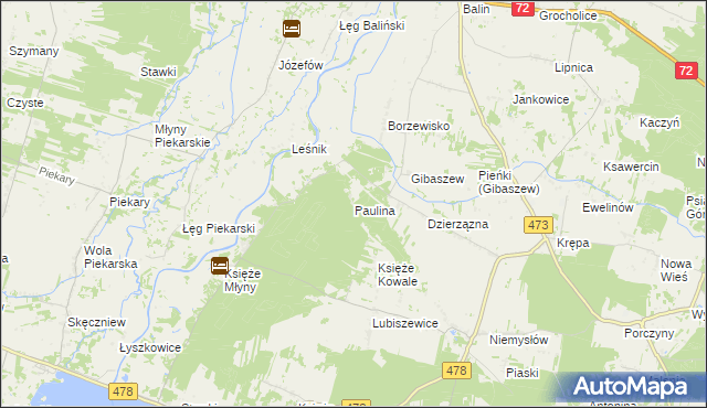 mapa Paulina gmina Poddębice, Paulina gmina Poddębice na mapie Targeo