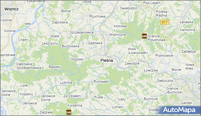 mapa Pleśna powiat tarnowski, Pleśna powiat tarnowski na mapie Targeo