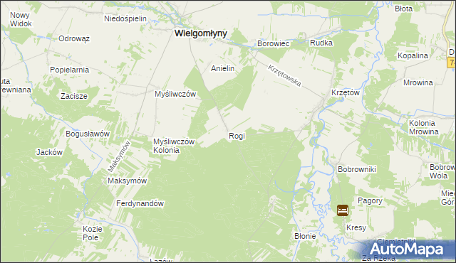 mapa Rogi gmina Wielgomłyny, Rogi gmina Wielgomłyny na mapie Targeo