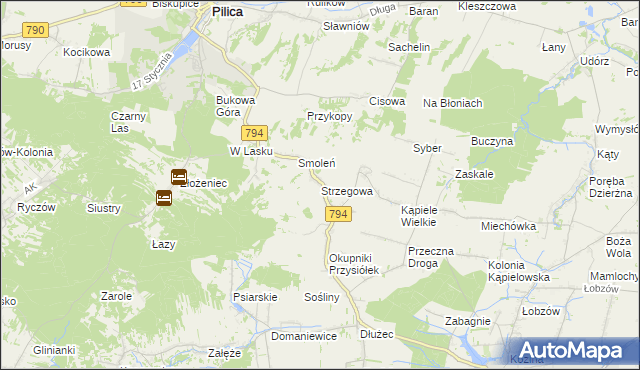 mapa Strzegowa gmina Wolbrom, Strzegowa gmina Wolbrom na mapie Targeo