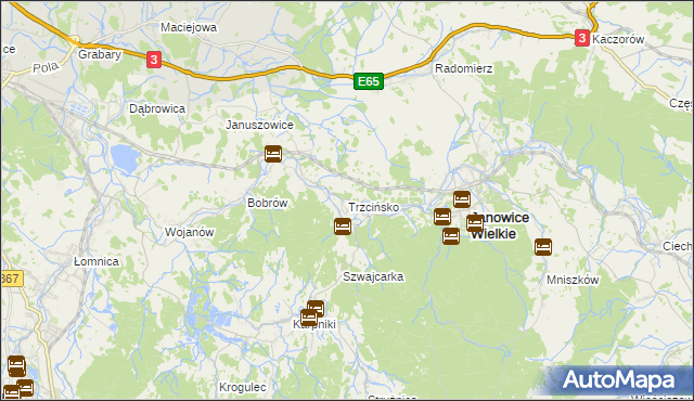 mapa Trzcińsko, Trzcińsko na mapie Targeo