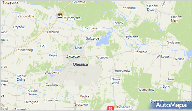 mapa Wojnów gmina Oleśnica, Wojnów gmina Oleśnica na mapie Targeo