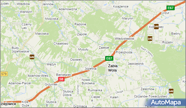 mapa Wycinki Osowskie, Wycinki Osowskie na mapie Targeo