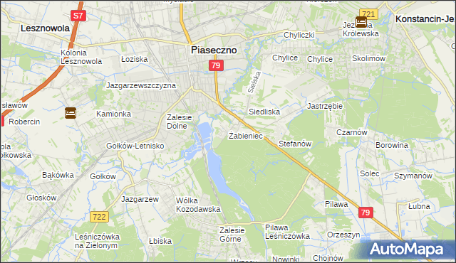 mapa Żabieniec gmina Piaseczno, Żabieniec gmina Piaseczno na mapie Targeo
