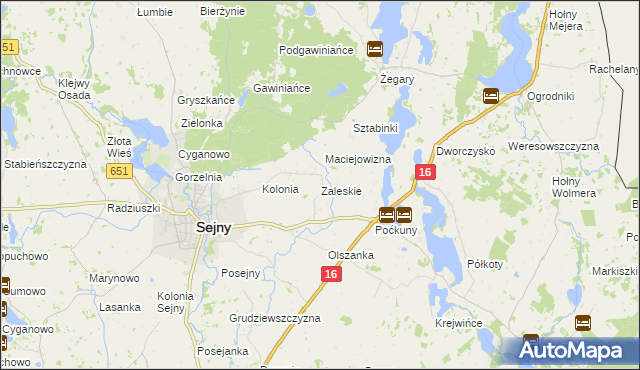 mapa Zaleskie gmina Sejny, Zaleskie gmina Sejny na mapie Targeo