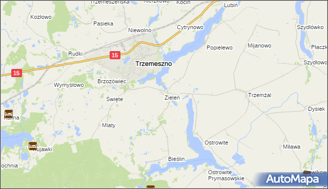 mapa Zieleń gmina Trzemeszno, Zieleń gmina Trzemeszno na mapie Targeo