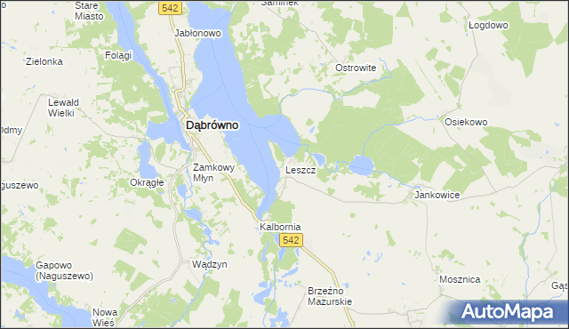 mapa Leszcz gmina Dąbrówno, Leszcz gmina Dąbrówno na mapie Targeo