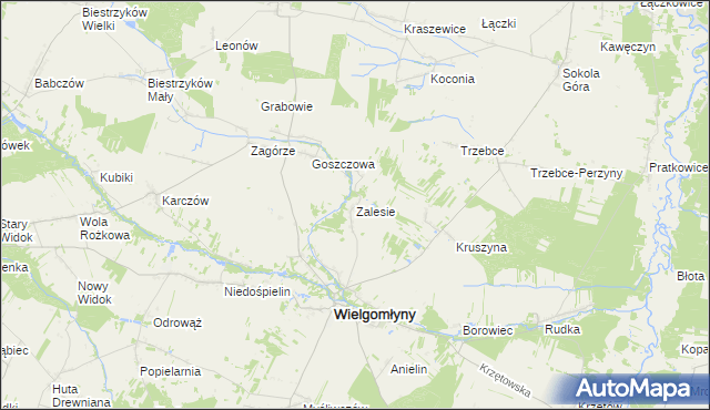 mapa Zalesie gmina Wielgomłyny, Zalesie gmina Wielgomłyny na mapie Targeo