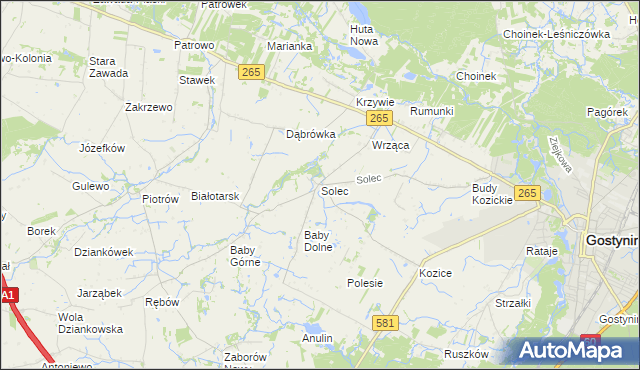 mapa Solec gmina Gostynin, Solec gmina Gostynin na mapie Targeo